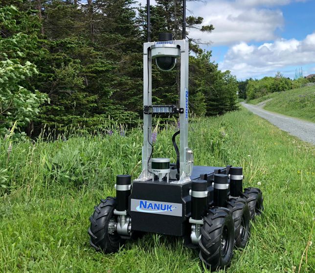 NANUK on Grass